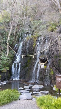 箱根湯本温泉 天成園に投稿された画像（2021/3/14）