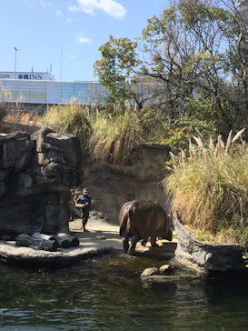 天王寺動物園に投稿された画像（2021/3/14）