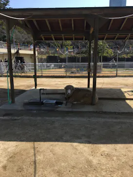 天王寺動物園に投稿された画像（2021/3/14）