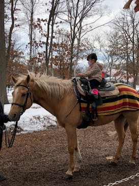 ノーザンホースパークに投稿された画像（2021/3/15）