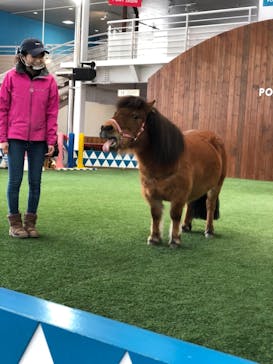 ノーザンホースパークに投稿された画像（2021/3/15）