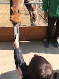 しろとり動物園に投稿された画像（2021/3/15）
