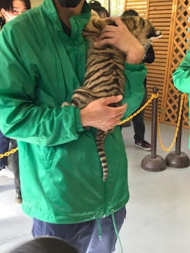 しろとり動物園に投稿された画像（2021/3/15）