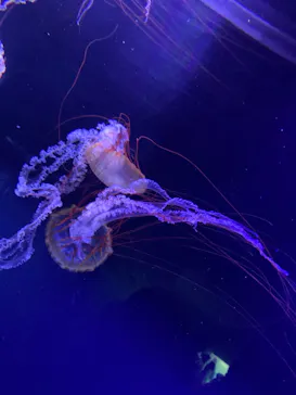 すみだ水族館に投稿された画像（2021/3/15）