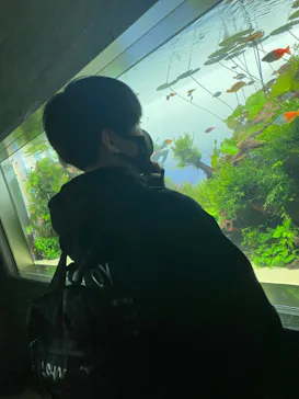 すみだ水族館に投稿された画像（2021/3/15）