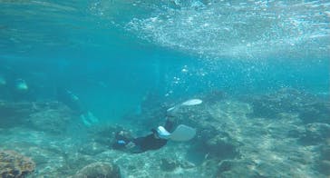 武藤潜水に投稿された画像（2021/3/15）