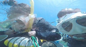 武藤潜水に投稿された画像（2021/3/15）