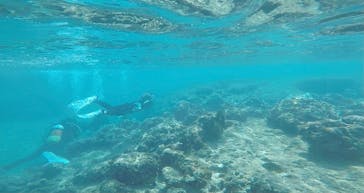 武藤潜水に投稿された画像（2021/3/15）