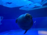 サンシャイン水族館に投稿された画像（2021/3/15）