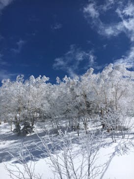 竜王スキーパークに投稿された画像（2021/3/15）