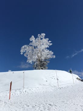 竜王スキーパークに投稿された画像（2021/3/15）