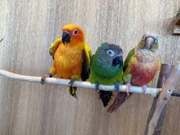 Moff animal cafe 小田原ダイナシティ店に投稿された画像（2021/3/15）