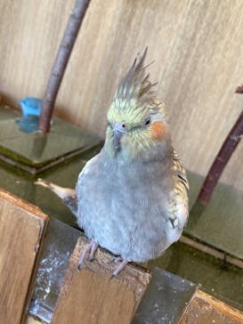 Moff animal cafe 小田原ダイナシティ店に投稿された画像（2021/3/15）