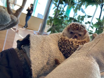 Moff animal cafe 小田原ダイナシティ店に投稿された画像（2021/3/15）