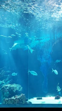 マリンワールド海の中道に投稿された画像（2021/3/15）