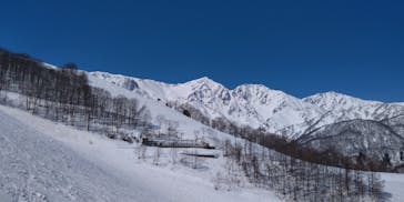 白馬八方尾根スキー場に投稿された画像（2021/3/15）