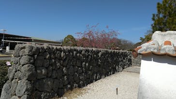 野外民族博物館 リトルワールドに投稿された画像（2021/3/15）