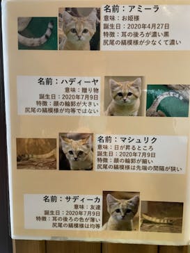 那須どうぶつ王国に投稿された画像（2021/3/15）