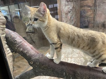 那須どうぶつ王国に投稿された画像（2021/3/15）