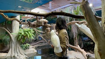 那須どうぶつ王国に投稿された画像（2021/3/15）