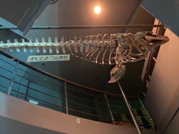 下田海中水族館に投稿された画像（2021/3/15）