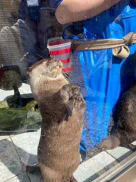 下田海中水族館に投稿された画像（2021/3/15）
