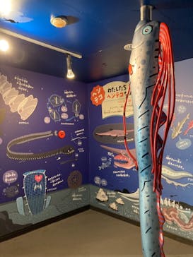 下田海中水族館に投稿された画像（2021/3/15）