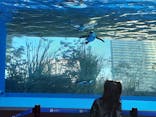 サンシャイン水族館に投稿された画像（2021/3/15）