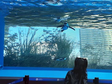 サンシャイン水族館に投稿された画像（2021/3/15）