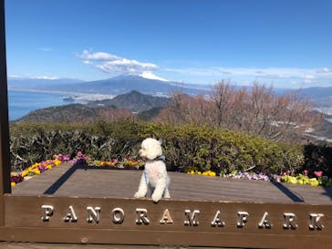 伊豆パノラマパークに投稿された画像（2021/3/15）