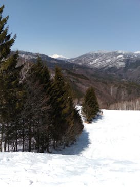 やぶはら高原スキー場に投稿された画像（2021/3/15）