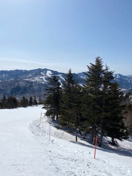 志賀高原焼額山スキー場に投稿された画像（2021/3/15）