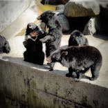 奥飛騨クマ牧場に投稿された画像（2021/3/15）