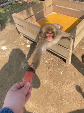 しろとり動物園に投稿された画像（2021/3/15）