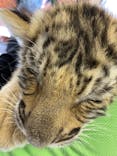 しろとり動物園に投稿された画像（2021/3/15）