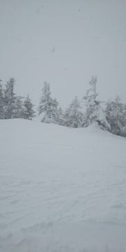 横手山・渋峠スキー場に投稿された画像（2021/3/15）