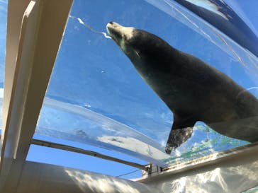 サンシャイン水族館に投稿された画像（2021/3/15）