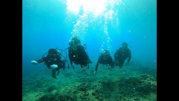 青の洞窟専門店　沖縄ダイビングショップ和に投稿された画像（2021/3/16）