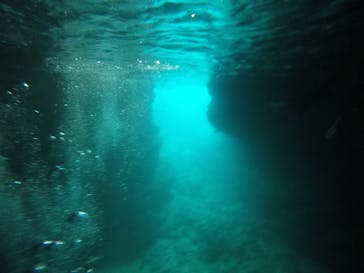 武藤潜水に投稿された画像（2021/3/16）