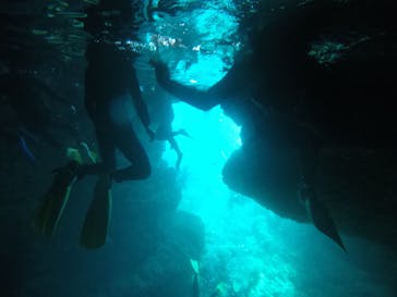 武藤潜水に投稿された画像（2021/3/16）