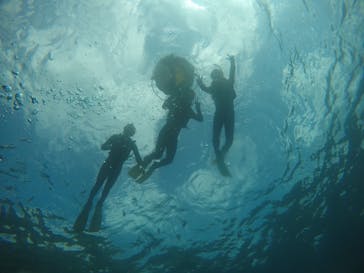 武藤潜水に投稿された画像（2021/3/16）