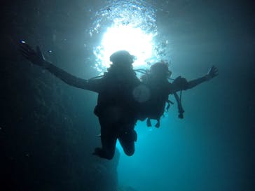 武藤潜水に投稿された画像（2021/3/16）