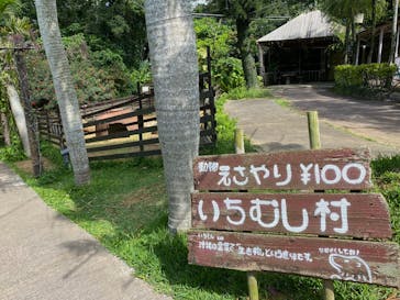 美らヤシパークオキナワ・東南植物楽園に投稿された画像（2021/3/16）