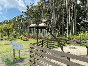 美らヤシパークオキナワ・東南植物楽園に投稿された画像（2021/3/16）
