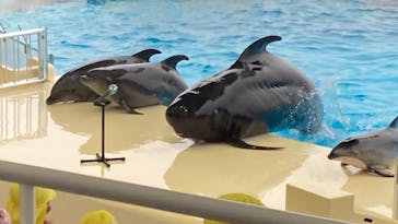 マリンワールド海の中道に投稿された画像（2021/3/16）