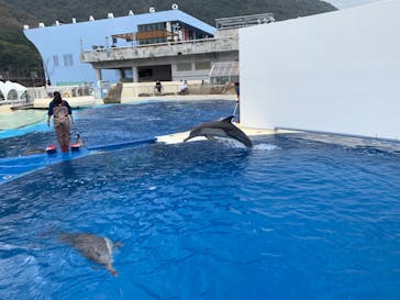 大分マリーンパレス水族館 「うみたまご」に投稿された画像（2021/3/16）