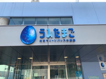 大分マリーンパレス水族館 「うみたまご」に投稿された画像（2021/3/16）