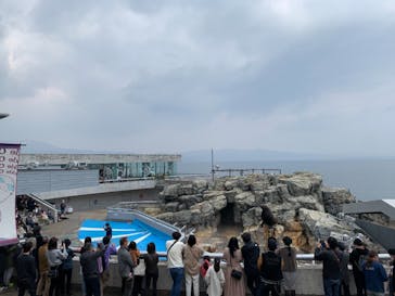 大分マリーンパレス水族館 「うみたまご」に投稿された画像（2021/3/16）