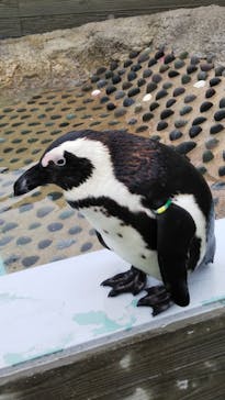 マリンワールド海の中道に投稿された画像（2021/3/16）