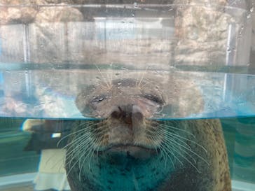 京都水族館に投稿された画像（2021/3/16）